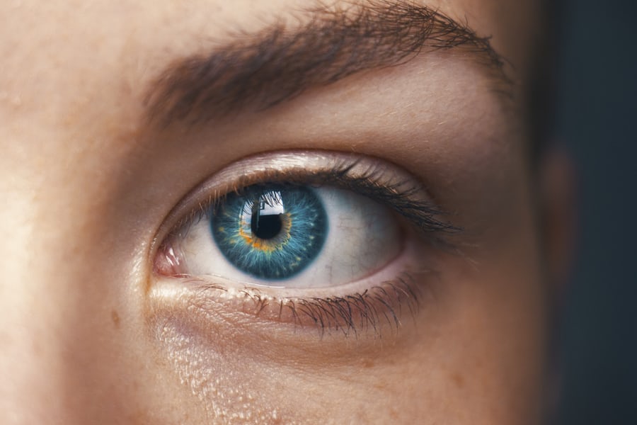 Iris eines Auges