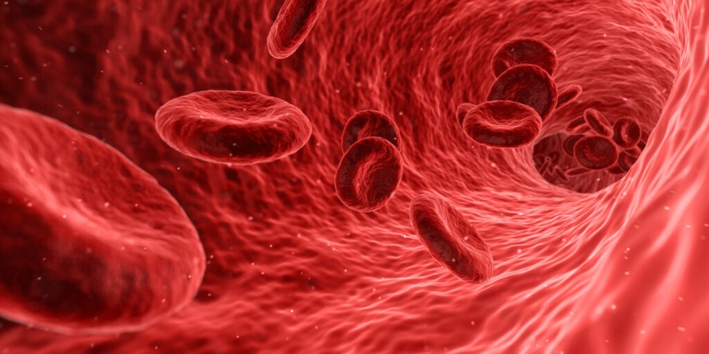 Bluttkörperchen - Eisenmangel, Blutbildung