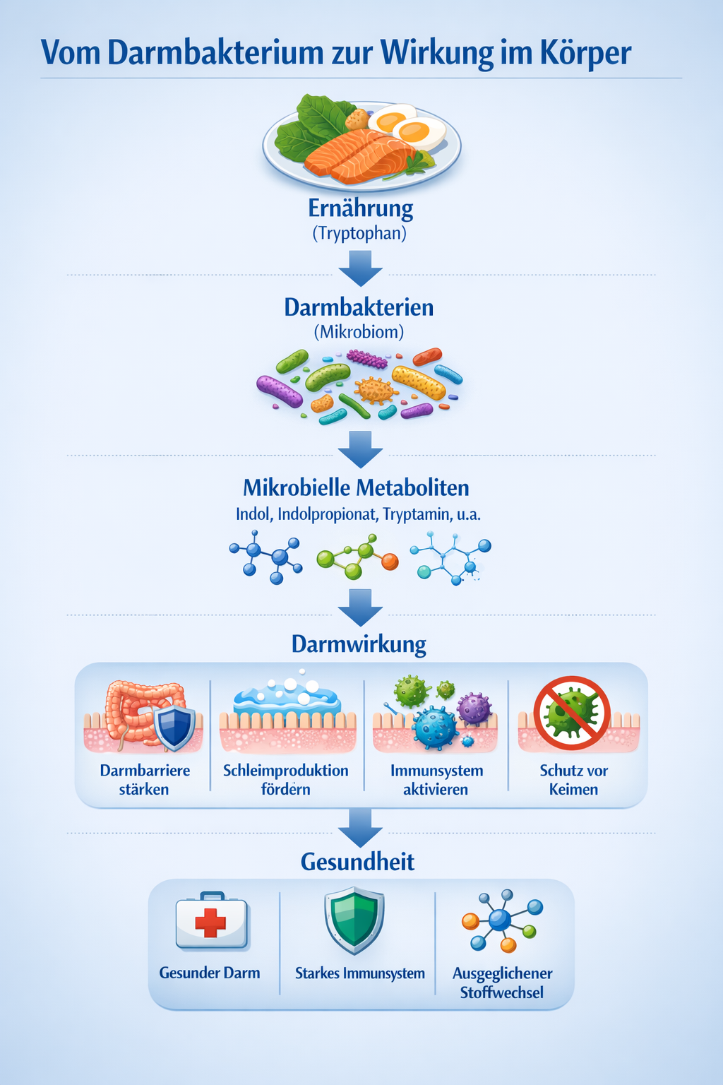 Metabolom-Analyse: Wenn Darmbakterien Stoffwechselprodukte sichtbar machen 5 Metabolom Darm Zusammenhang zwischen Mikrobiom und Metaboliten